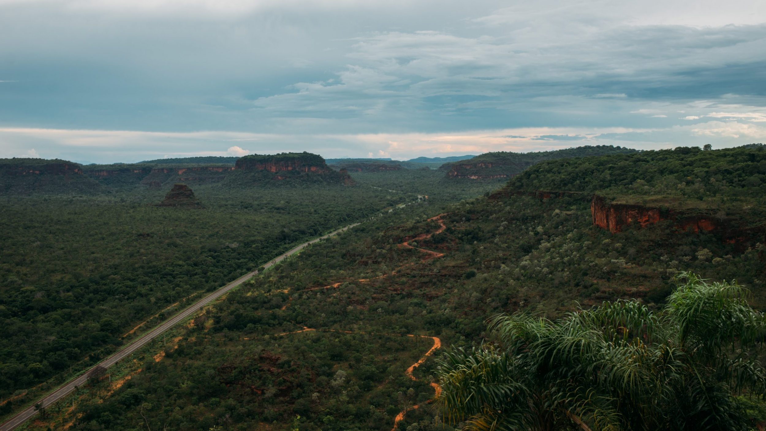 ASSOCIAÇÃO REVERBERA